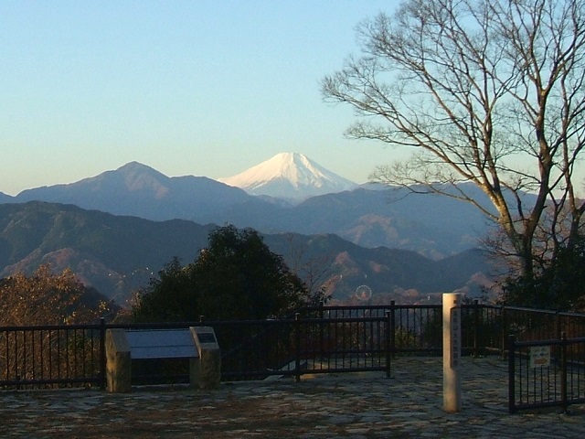 �x�m�R�������鍂���R�E�R��