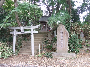 ���䗅�_��