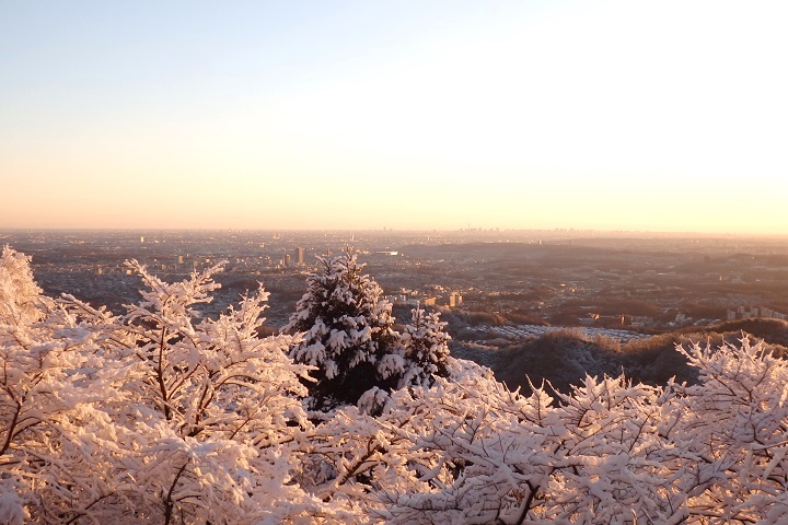 ���䂩��̒��]