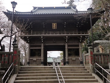 �l�V����