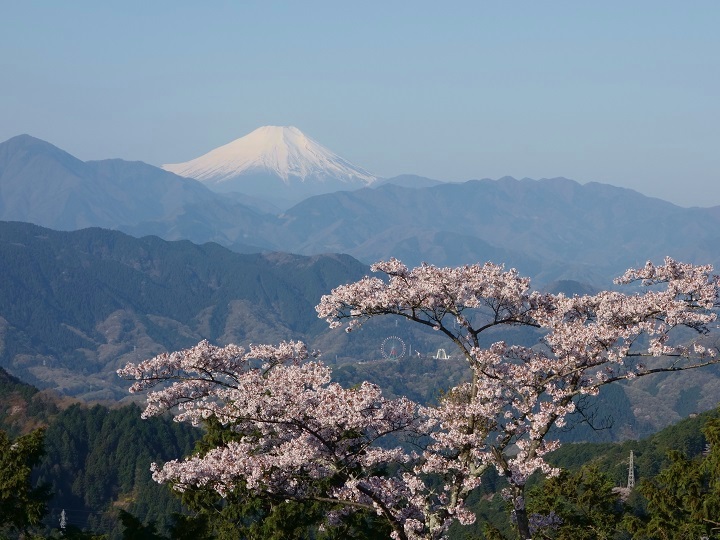 4���E�����炭�����R���猩���x�m�R