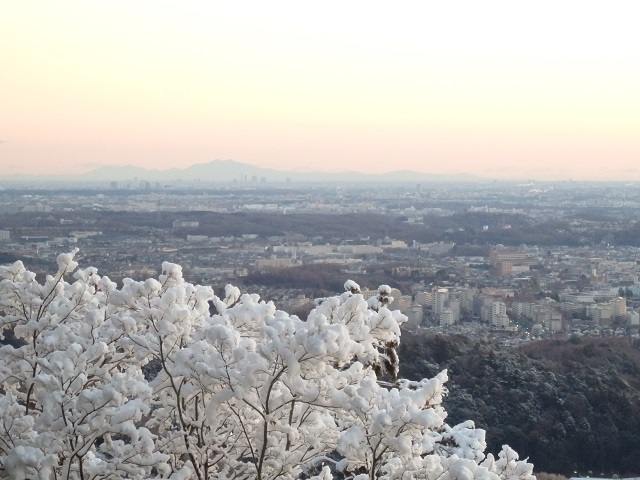 ��̋��䗅��i�����R�j���猩���}�g�R