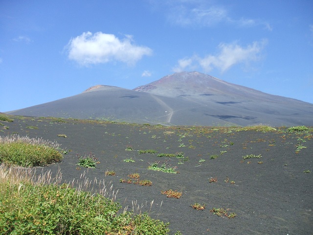 ��i�R�n�C�L���O