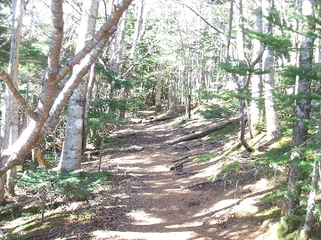 ���x�m�ւ̓�