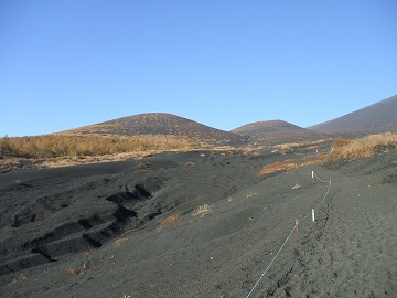 �o�q�R�ւ̓�