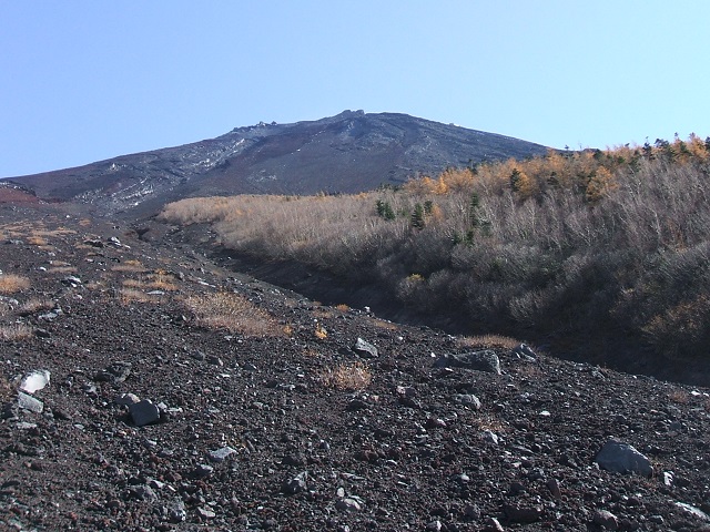 �x�m�R�䒆���E������n�C�L���O