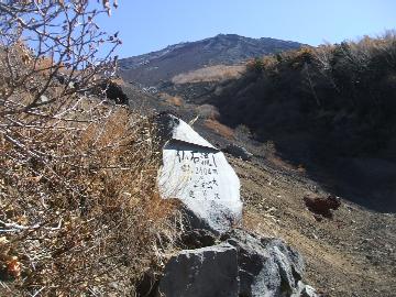 ���Η���