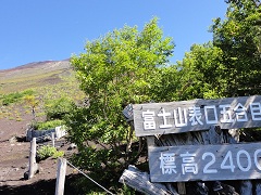 �x�m�{���R�[�X