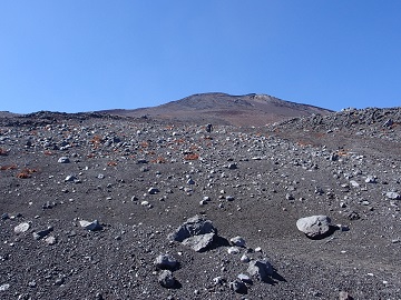 �����ڂւ̓�