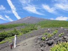 �{�����R�[�X