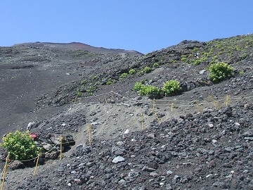 �{�����ڂւ̓�