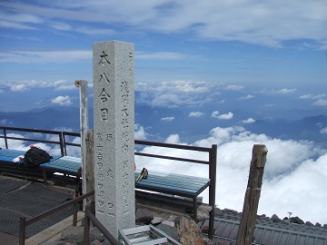 �{������