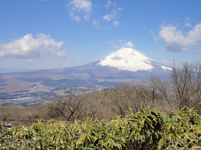 �����E�ۊx���猩���x�m�R