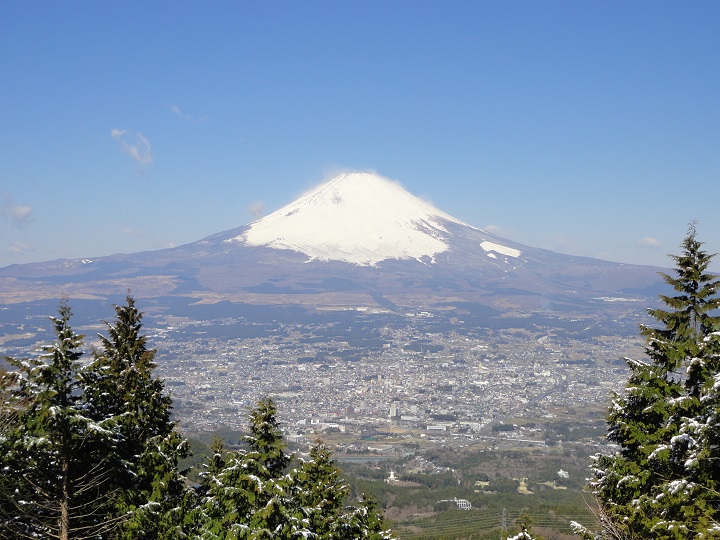 ���������猩���x�m�R