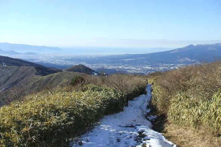 �����ۊx�E�x�͘p�����Ȃ��璷������