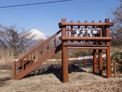 �x�m����