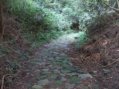 �����Ó�