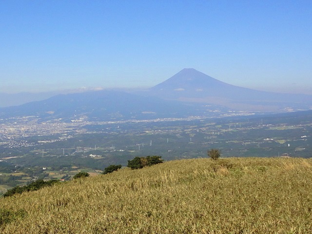 �M�C�E���x���猩���x�m�R