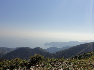 �M�C�E���x���猩���ɓ�����