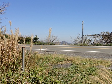 �ɓ��X�J�C���C���ɏo��