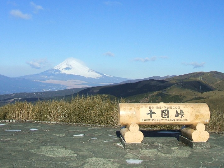 �\��������x�m�R�̓W�]