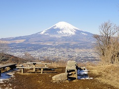 �[���̑ꕪ��