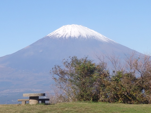 ���������猩���x�m�R