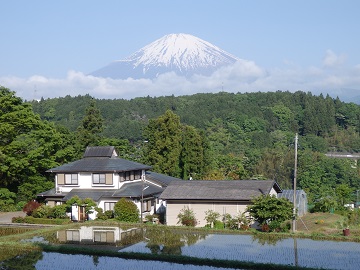 �ԔV���_�Ђ��猩���x�m�R