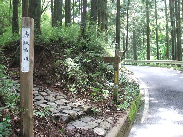 �����Ó�