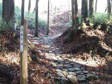 �����Ó�