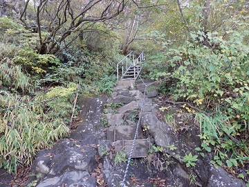 �����R�ւ̓o��