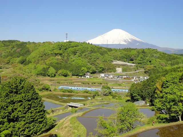 �����w�߂��̒I�c���猩�����}���X�J�[�ƕx�m�R