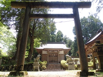 �����_��