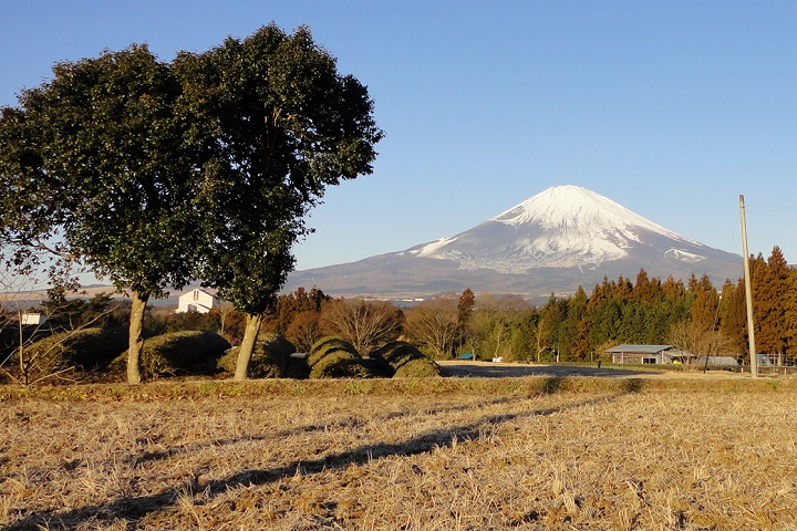 �x�m�R�̒���