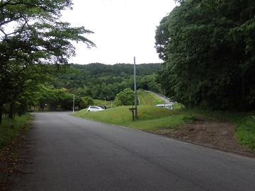 �M���c�r�C�S���t�N���u