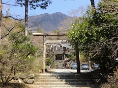 �����_��