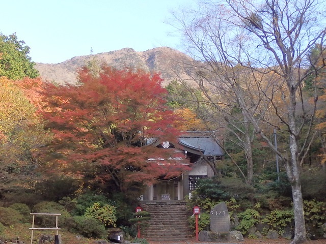 �g�t�ɕ�܂ꂽ�����_�ЂƋ����R