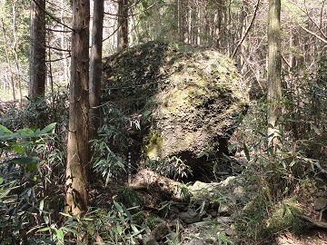 ������f��