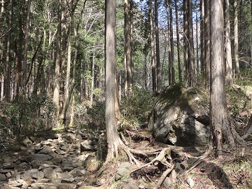 �����R����