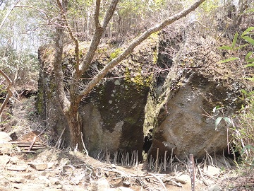 �����h���