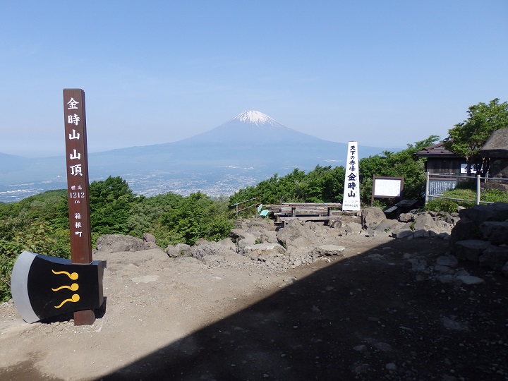 �����R���猩���x�m�R�i5���j