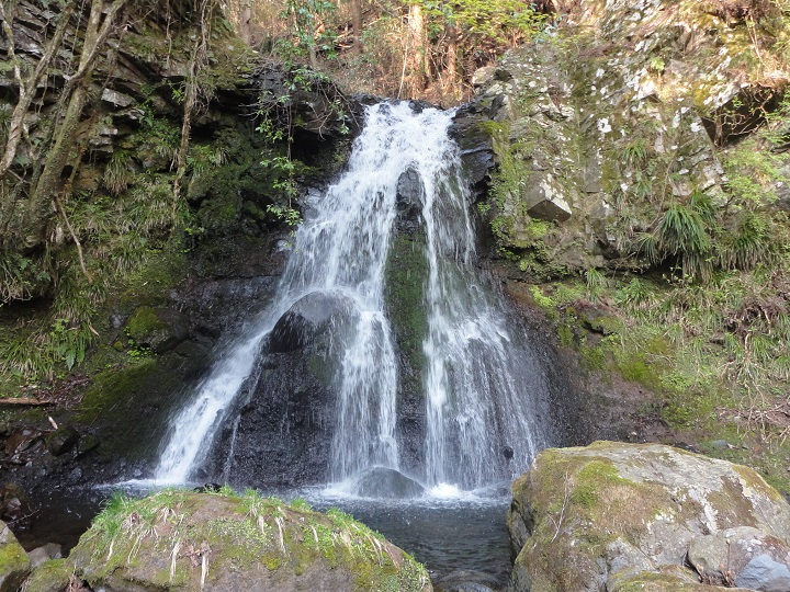 ���R���E�V���̑�