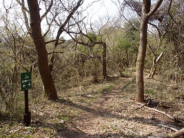 �������t����