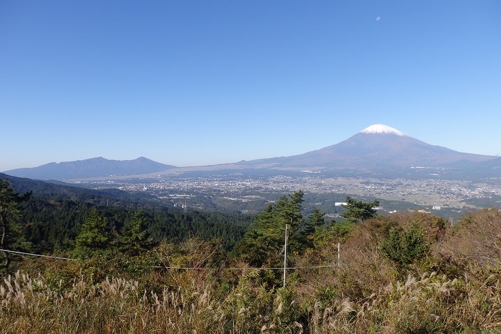 ���������猩���x�m�R