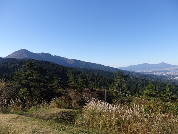 ���������猩�������R