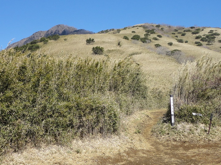 ��q�򓻂�������R����