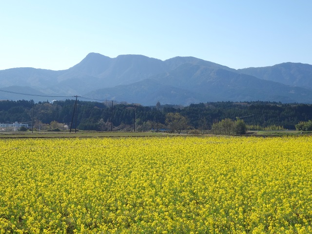 ��������������R�ւ̗Ő��ƍ؂̉�