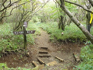 �h���򕪊�