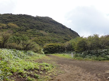 �h���򕪊�̏�