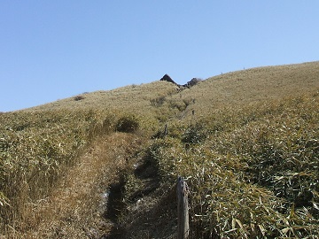 �������{�_�Ђւ̓�